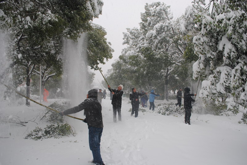 淮南師范學院召開抗雪防災工作會議，加強校園安全工作