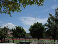 重慶幼兒師范高等專科學(xué)校沙河校區(qū)歷年招生錄取分數(shù)線