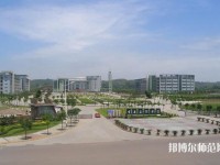 重慶文理師范學(xué)院紅河校區(qū)2023年學(xué)費(fèi)、收費(fèi)多少