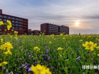 南開師范大學津南校區(qū)2023年學費、收費多少