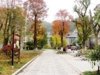 吉首師范大學(xué)張家界學(xué)院2023年學(xué)費(fèi)、收費(fèi)多少
