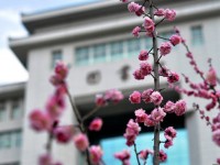 延安大學(xué)師范學(xué)院楊家?guī)X校區(qū)2023年學(xué)費(fèi)、收費(fèi)多少