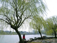金華職業(yè)技術(shù)師范學(xué)院2023年學(xué)費(fèi)、收費(fèi)多少