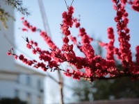 山東威海藝術(shù)幼兒師范學(xué)校2023年學(xué)費(fèi)、收費(fèi)多少