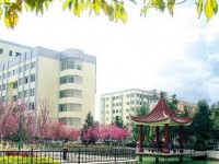 云南現(xiàn)代職業(yè)技術(shù)師范學(xué)院2023年學(xué)費(fèi)、收費(fèi)多少