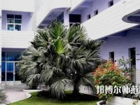 四川信息工程幼兒師范學(xué)校2023年報(bào)名條件、招生要求、招生對(duì)象