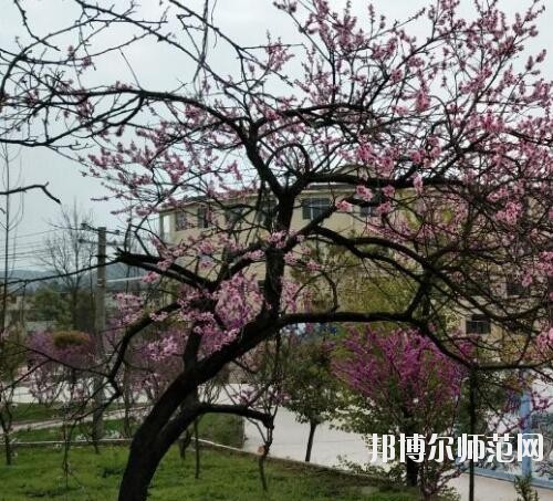 貴陽中華幼師職業(yè)學校2023年怎么樣、好不好