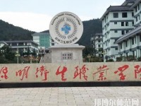昆明藝術幼兒師范學校2023年有那些專業(yè)