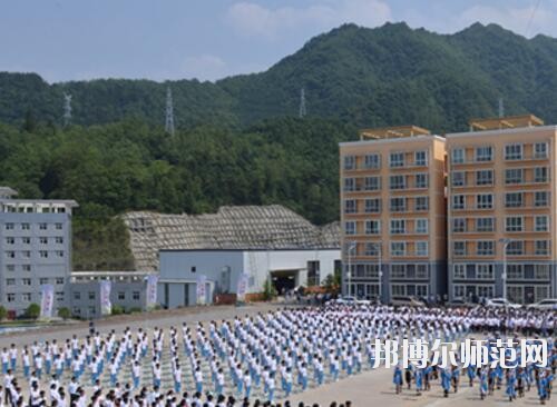 師范網5