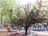 石家莊法商幼兒師范中等專業(yè)學(xué)校2023年報(bào)名條件、招生要求、招生對(duì)象