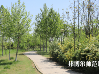 石家莊中英航空幼兒師范中等專業(yè)學(xué)校2023年怎么樣、好不好