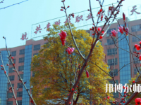 九江2020年有幼師學(xué)校的大專(zhuān)大學(xué)