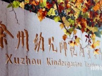 徐州幼兒師范高等?？茖W(xué)校有哪些專業(yè)