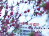 柳州城市職業(yè)師范學(xué)院2023年怎么樣、好不好