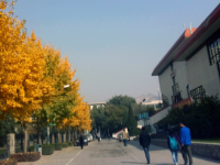 西北師范大學(xué)2023年學(xué)費(fèi)、收費(fèi)多少