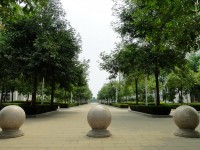 廣西現(xiàn)代職業(yè)技術(shù)師范學(xué)院2023年報(bào)名條件、招生要求、招生對(duì)象