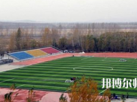 鶴崗師范高等?？茖W(xué)校2023年招生代碼