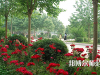 河南科技職業(yè)師范大學(xué)2023年報名條件、招生要求、招生對象