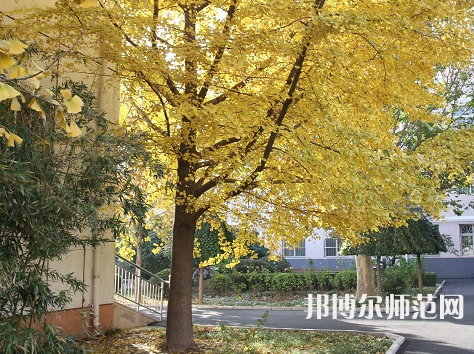 北京京北職業(yè)師范技術(shù)學(xué)院2023年報名條件、招生要求、招生對象