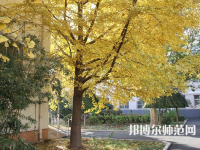 北京京北職業(yè)師范技術(shù)學(xué)院2023年報(bào)名條件、招生要求、招生對象