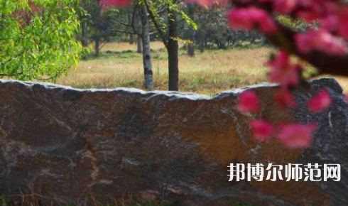 鄭州大學(xué)師范學(xué)院主校區(qū)2023年有哪些專(zhuān)業(yè)