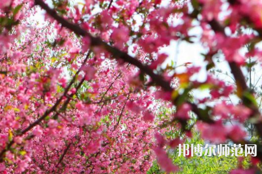 鄭州大學(xué)師范學(xué)院主校區(qū)2023年報名條件、招生要求、招生對象