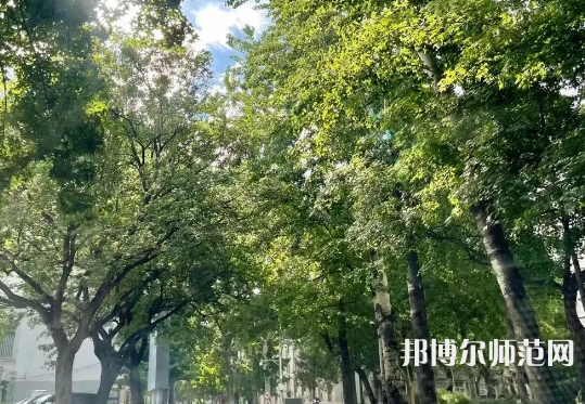 中央民族師范大學(xué)2023年報名條件、招生要求、招生對象