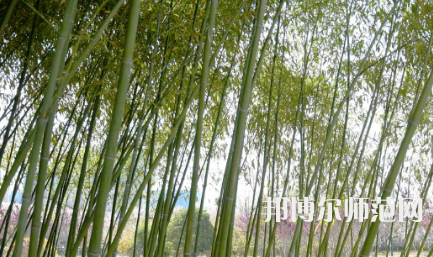 周口職業(yè)技術(shù)師范學(xué)院開元校區(qū)2023年報(bào)名條件、招生要求、招生對(duì)象
