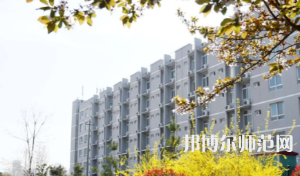 周口職業(yè)技術(shù)師范學(xué)院開元校區(qū)2023年怎么樣、好不好
