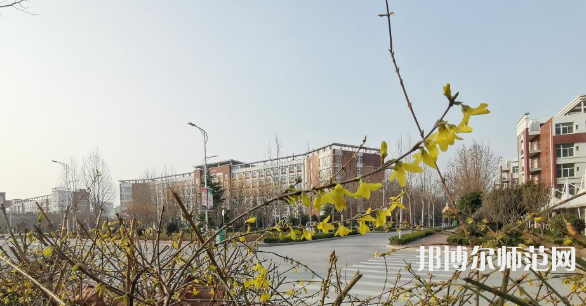 鶴壁職業(yè)技術(shù)師范學(xué)院2023年報(bào)名條件、招生要求、招生對(duì)象
