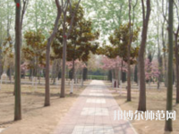 濮陽職業(yè)技術(shù)師范學(xué)院2023年報(bào)名條件、招生要求、招生對(duì)象