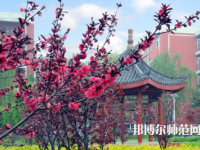 駐馬店師范職業(yè)技術(shù)學(xué)院2023年報(bào)名條件、招生要求、招生對象