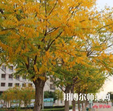 榆林職業(yè)技術(shù)師范學(xué)院2023年怎么樣、好不好