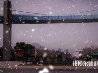 溫州師范大學(xué)茶山校區(qū)2023年學(xué)費(fèi)、收費(fèi)多少