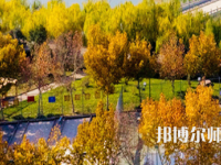 河南理工師范大學(xué)北校區(qū)2023年報(bào)名條件、招生要求、招生對(duì)象