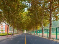 聊城師范大學(xué)東昌學(xué)院2023年報(bào)名條件、招生要求、招生對(duì)象