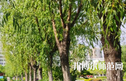 南陽理工師范學(xué)院2023年報(bào)名條件、招生要求、招生對(duì)象