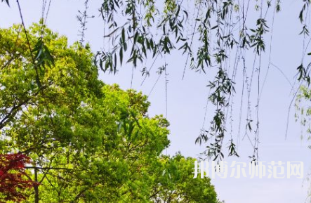 南陽理工師范學(xué)院2023年報(bào)名條件、招生要求、招生對(duì)象