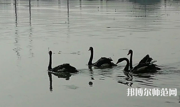 浙江師范大學(xué)行知學(xué)院蘭溪校區(qū)2023年怎么樣、好不好