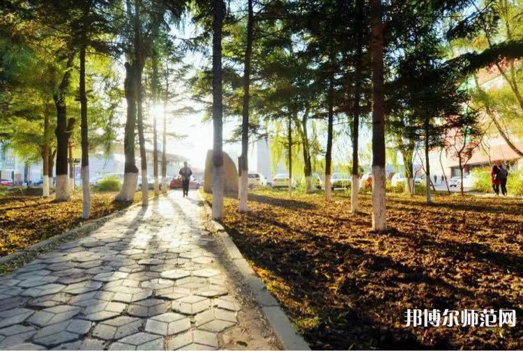 長春大學師范學院主校區(qū)2023年報名條件、招生要求、招生對象