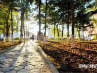長春大學(xué)師范學(xué)院主校區(qū)2023年報(bào)名條件、招生要求、招生對(duì)象