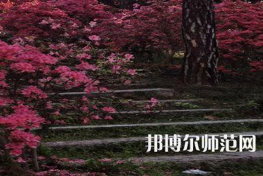 信陽(yáng)師范學(xué)院華銳學(xué)院2023年報(bào)名條件、招生要求、招生對(duì)象