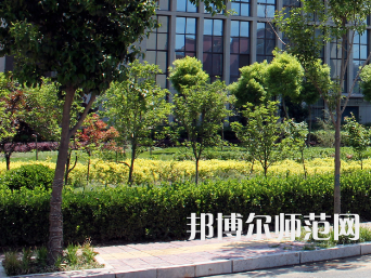 安陽幼兒師范高等?？茖W校2023年有哪些專業(yè)
