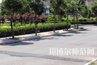 安陽幼兒師范高等?？茖W校2023年有哪些專業(yè)