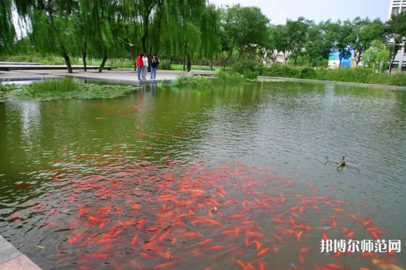 濰坊科技師范學(xué)院2023年怎么樣、好不好 