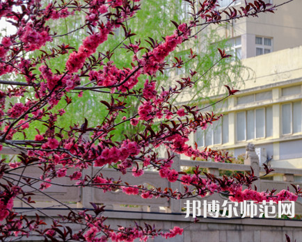 蘇州科技師范大學(xué)天平學(xué)院2023年報名條件、招生要求、招生對象