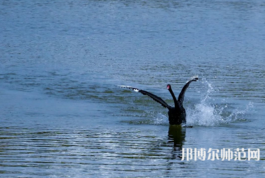 浙江師范大學(xué)2023年怎么樣、好不好