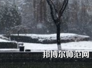 焦作師范高等?？茖W(xué)校2023年招生代碼