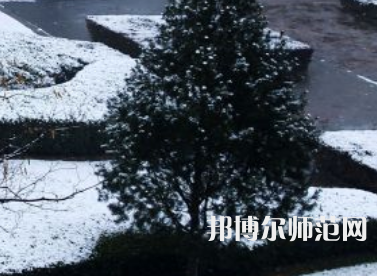 焦作師范高等專(zhuān)科學(xué)校2023年報(bào)名條件、招生要求、招生對(duì)象