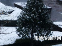 焦作師范高等?？茖W(xué)校2023年報(bào)名條件、招生要求、招生對(duì)象